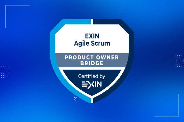 Agile Scrum Product Owner Bridge